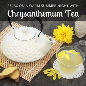 www.acupuncture lafayette.com chrysanthenum tea